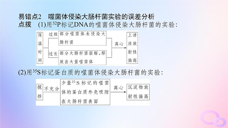 2024版新教材高中生物第3章基因的本质章末排查强化课件新人教版必修2第5页