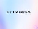 2024版新教材高中生物第3章基因的本质第1节DNA是主要的遗传物质课件新人教版必修2