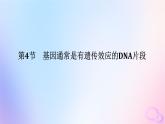 2024版新教材高中生物第3章基因的本质第4节基因通常是有遗传效应的DNA片段课件新人教版必修2