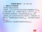 2024版新教材高中生物第3章基因的本质第4节基因通常是有遗传效应的DNA片段课件新人教版必修2