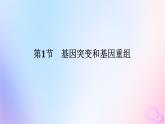 2024版新教材高中生物第5章基因突变及其他变异第1节基因突变和基因重组课件新人教版必修2
