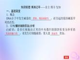 2024版新教材高中生物第5章基因突变及其他变异第1节基因突变和基因重组课件新人教版必修2