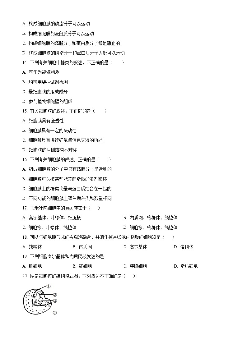 北京市交通大学附属中学2023-2024学年高一上学期期中考试 生物03