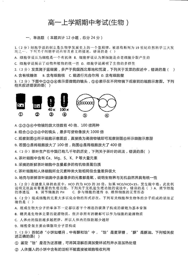 湖南省新邵县第三中学2023-2024学年高一上学期期中考试生物试题01