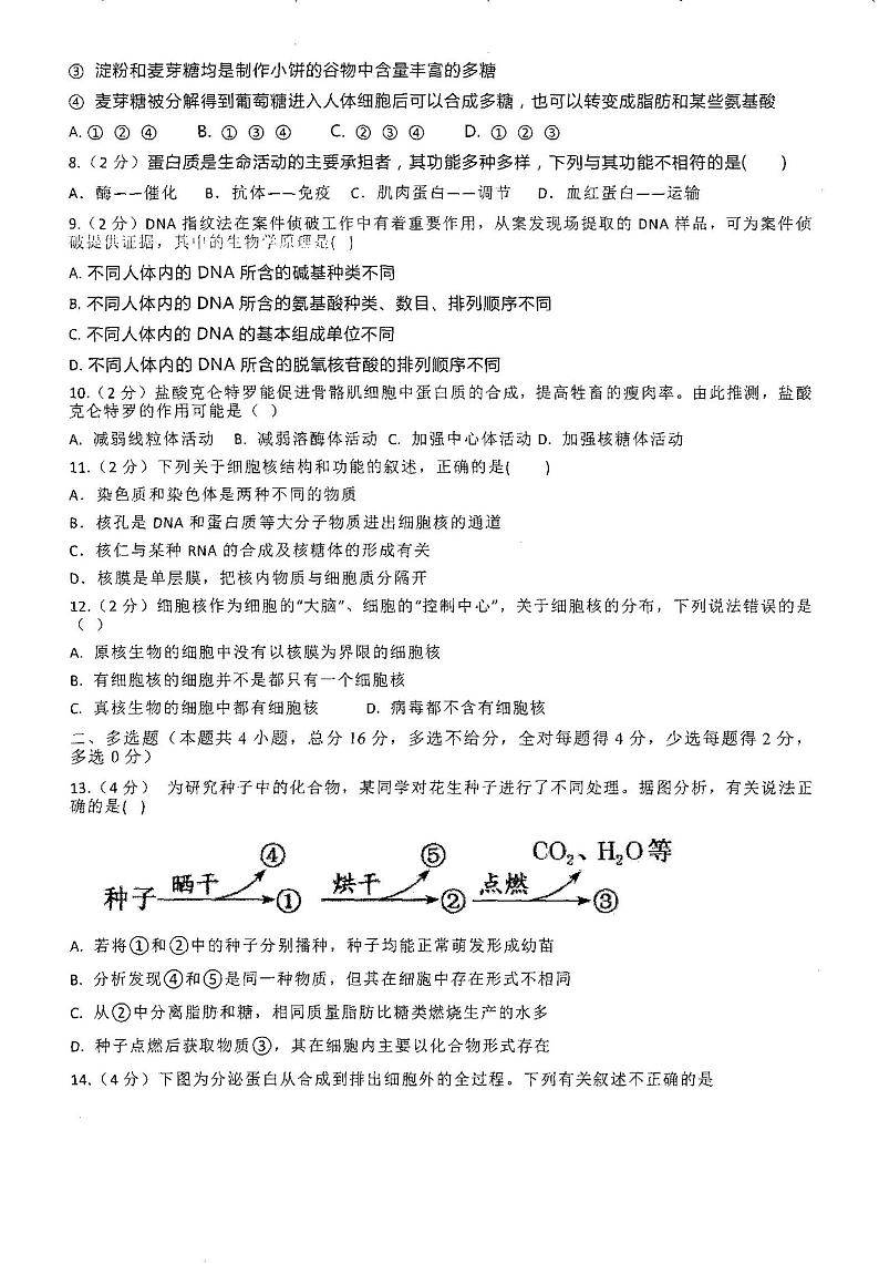 湖南省新邵县第三中学2023-2024学年高一上学期期中考试生物试题02