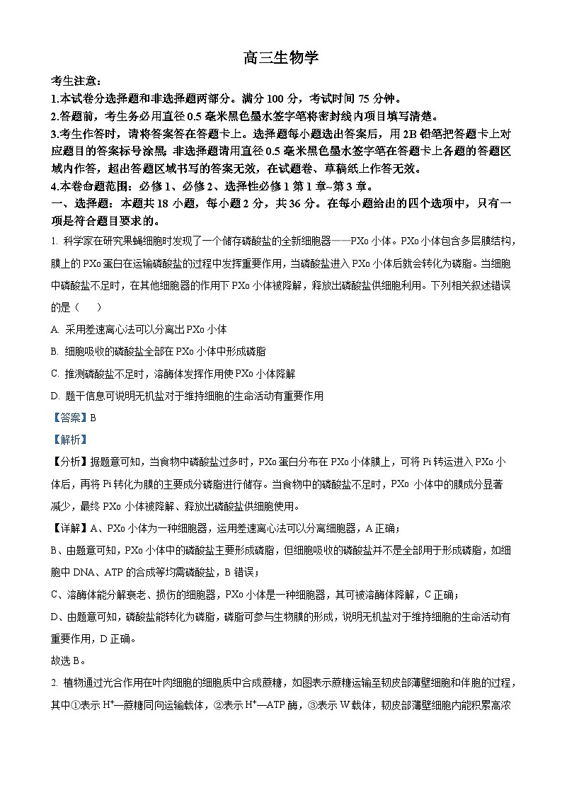 湖北省九师联盟2023-2024学年高三上学期12联考生物试题（Word版附解析）01