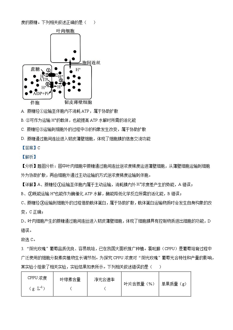 湖北省九师联盟2023-2024学年高三上学期12联考生物试题（Word版附解析）02