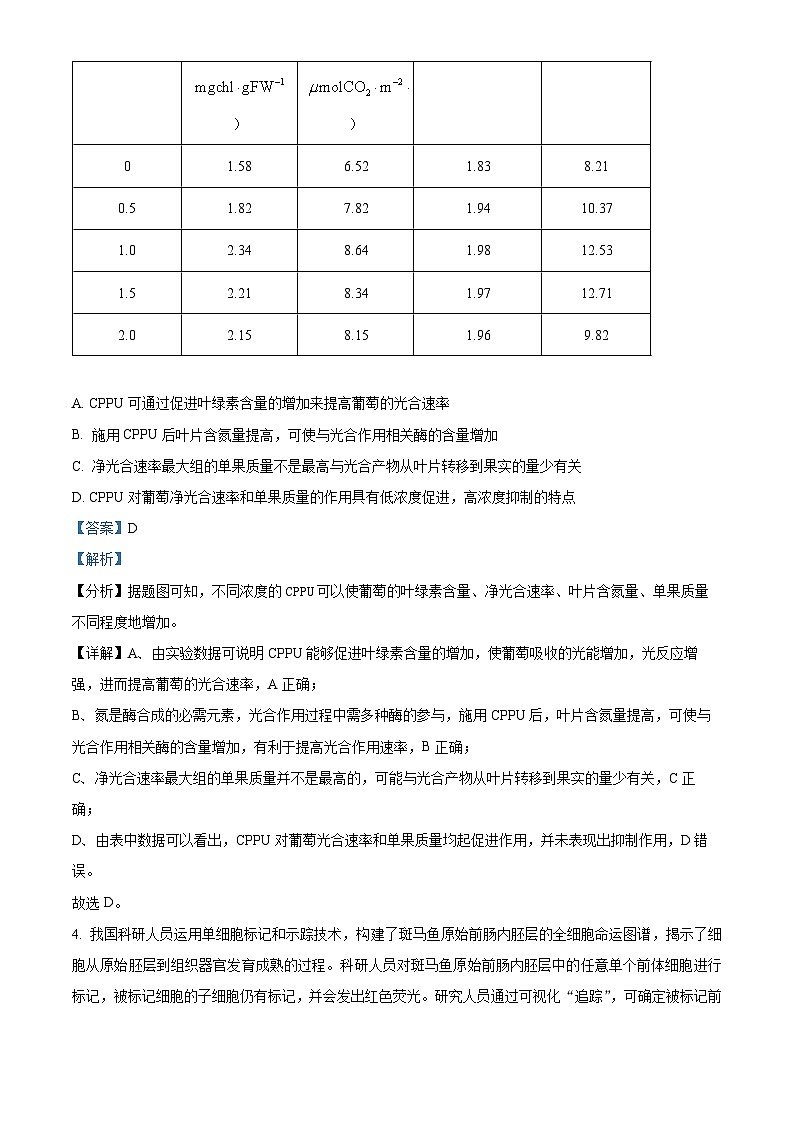 湖北省九师联盟2023-2024学年高三上学期12联考生物试题（Word版附解析）03