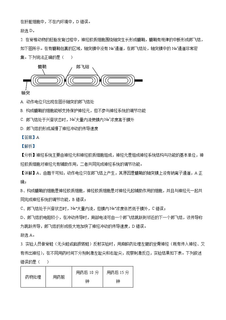 湖北省宜荆荆随恩教科研协作体2023-2024学年高二上学期12月联考生物试题（Word版附解析）02