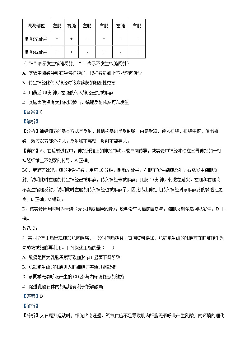 湖北省宜荆荆随恩教科研协作体2023-2024学年高二上学期12月联考生物试题（Word版附解析）03