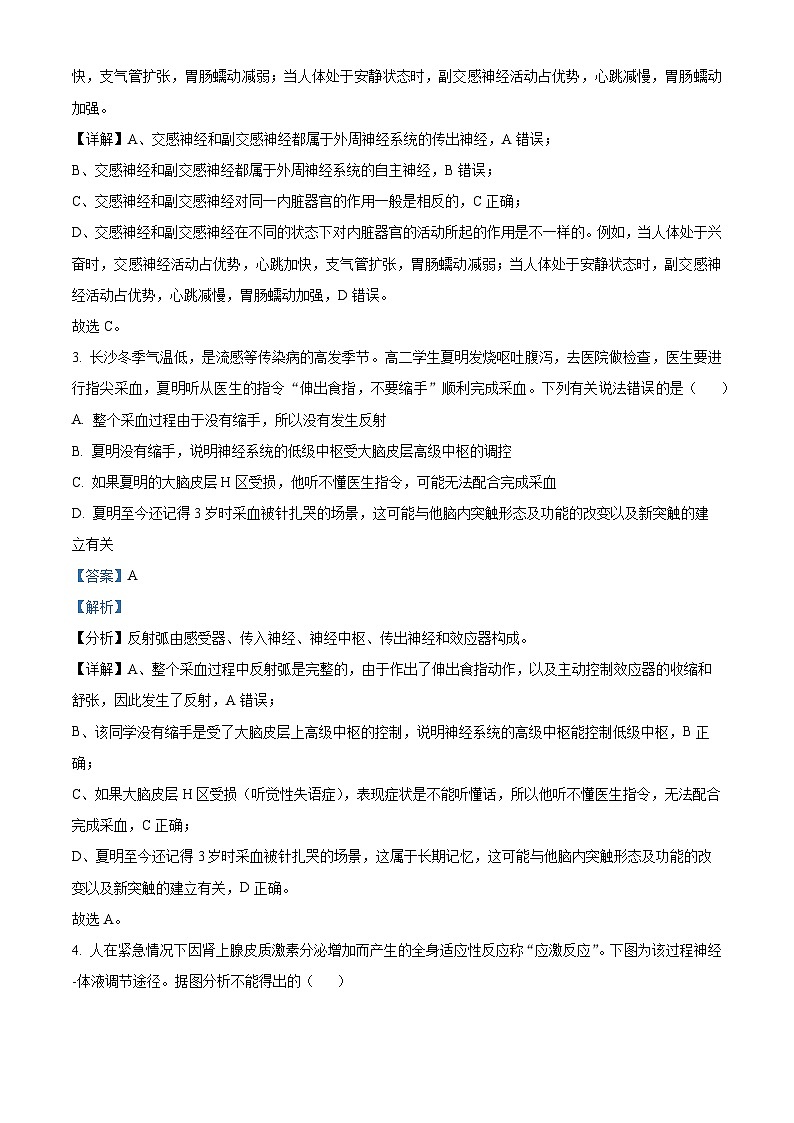 湖南省长沙市麓山国际共同体2023-2024学年高二上学期12月月考生物试题（Word版附解析）02