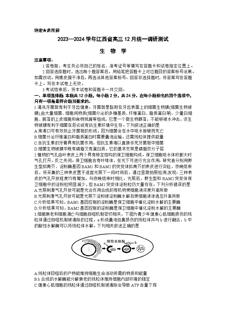 江西省2023-2024学年高三上学期12月统一调研测试生物试题（Word版附答案）第1页