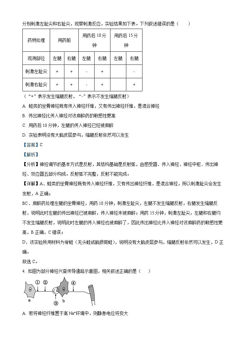 四川省绵阳市南山中学2023-2024学年高二上学期12月月考生物试题（Word版附解析）03