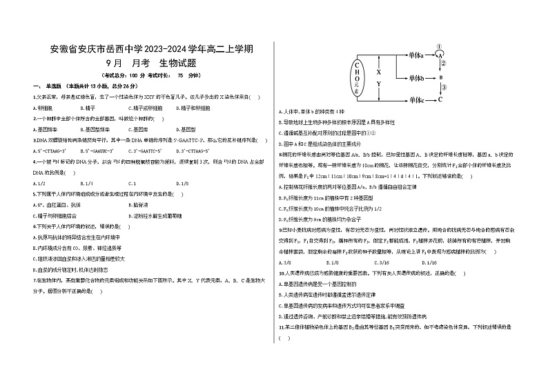 安徽省安庆市岳西中学2023-2024学年高二上学期9月月考生物试题01