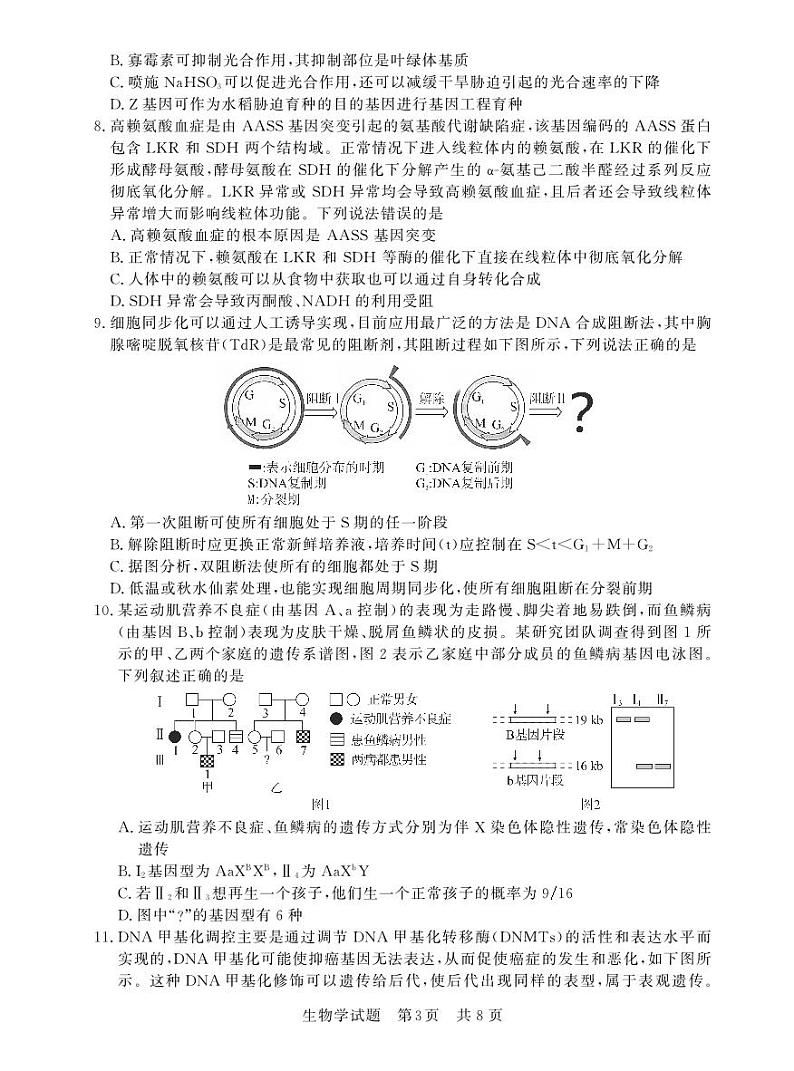 T8联考 生物第3页