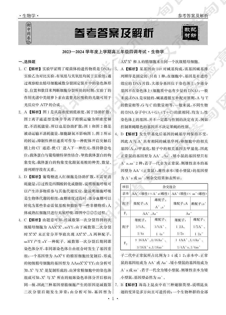 2023衡水高三年级四调生物试卷与答案01