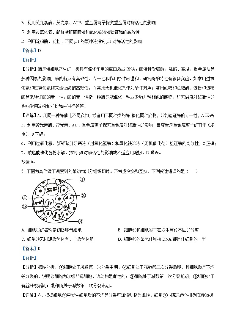 浙江省绍兴市嵊州市2023-2024学年高三上学期选考科目调研生物学科试题（Word版附解析）第3页