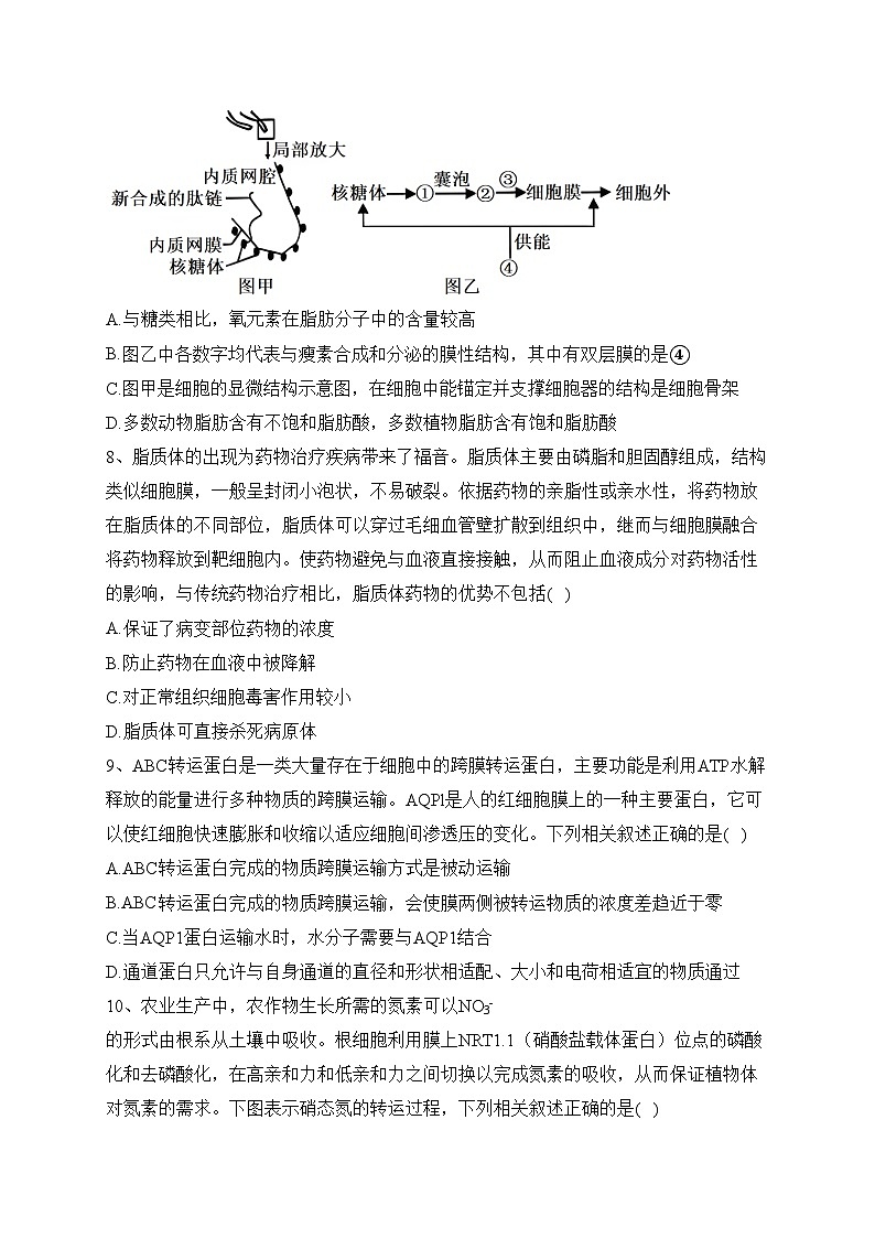 湖北省2023-2024学年高一上学期12月联考生物试卷(含答案)第3页