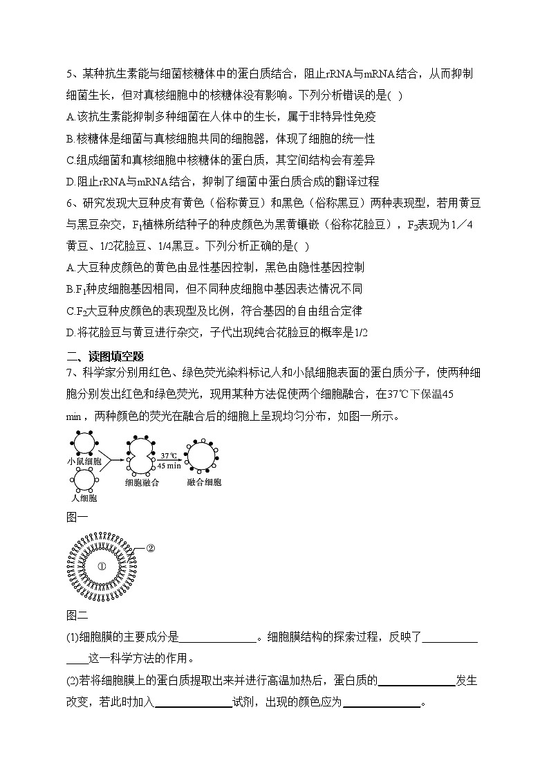 双鸭山市第一中学2023-2024学年高一上学期12月月考生物试卷(含答案)02