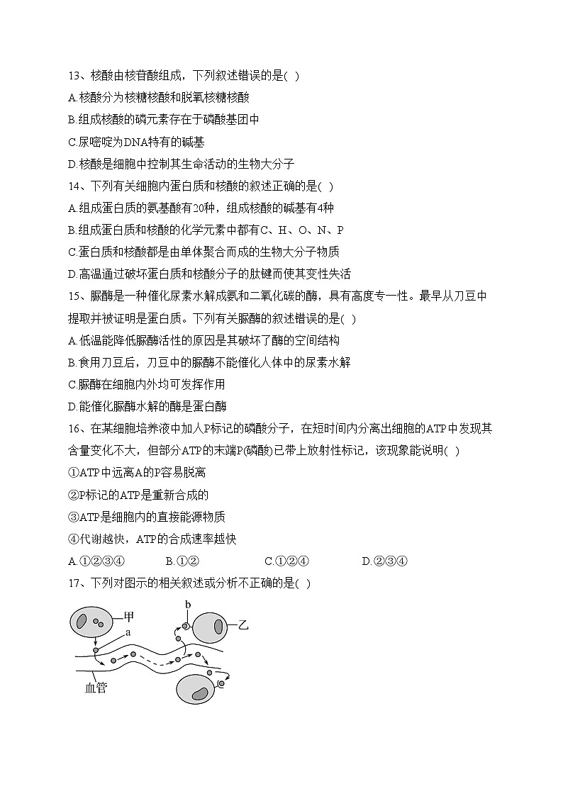 四川省泸县第一中学2023-2024学年高一上学期第三学月考试生物试卷(含答案)第3页