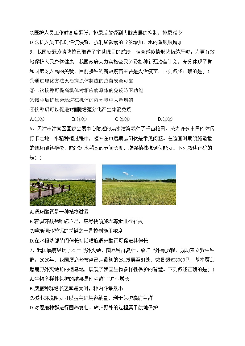 天津市部分区2022-2023学年高二上学期期末练习生物试卷(含答案)02