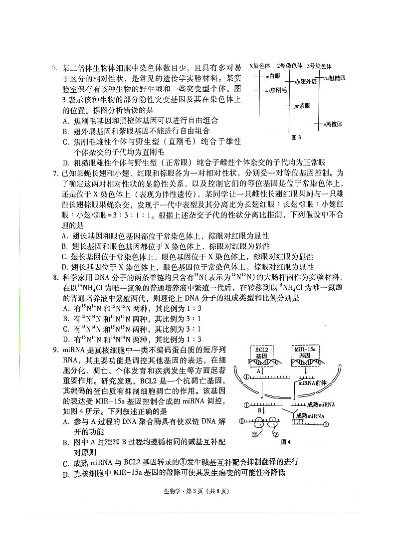 贵州省2024届“3+3+3”高考备考诊断性联考2023年12月高三生物试卷及参考答案第3页