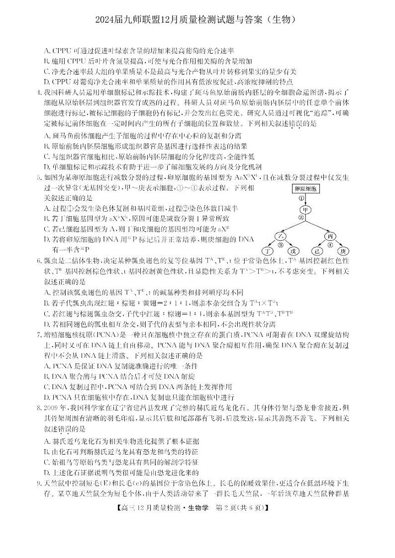 2024届九师联盟高三12月质量检测生物第2页