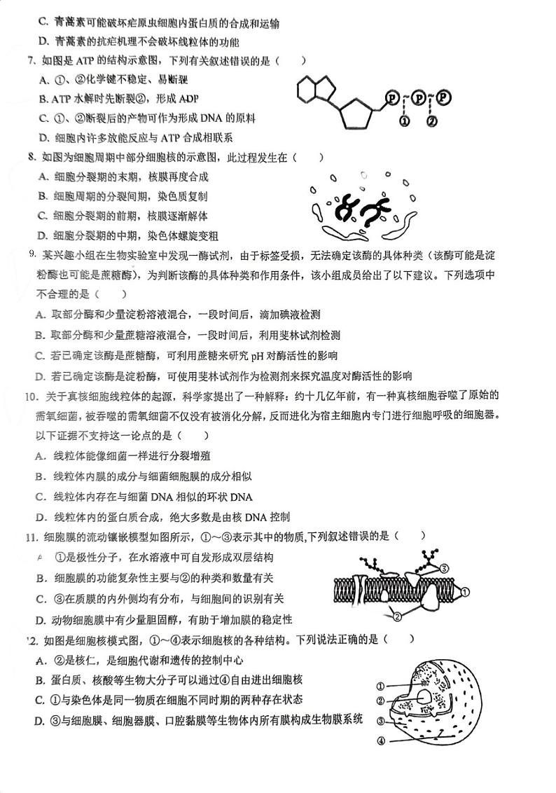 福建省厦门市思明区第六中学2023-2024学年高一上学期1月月考生物试题第2页