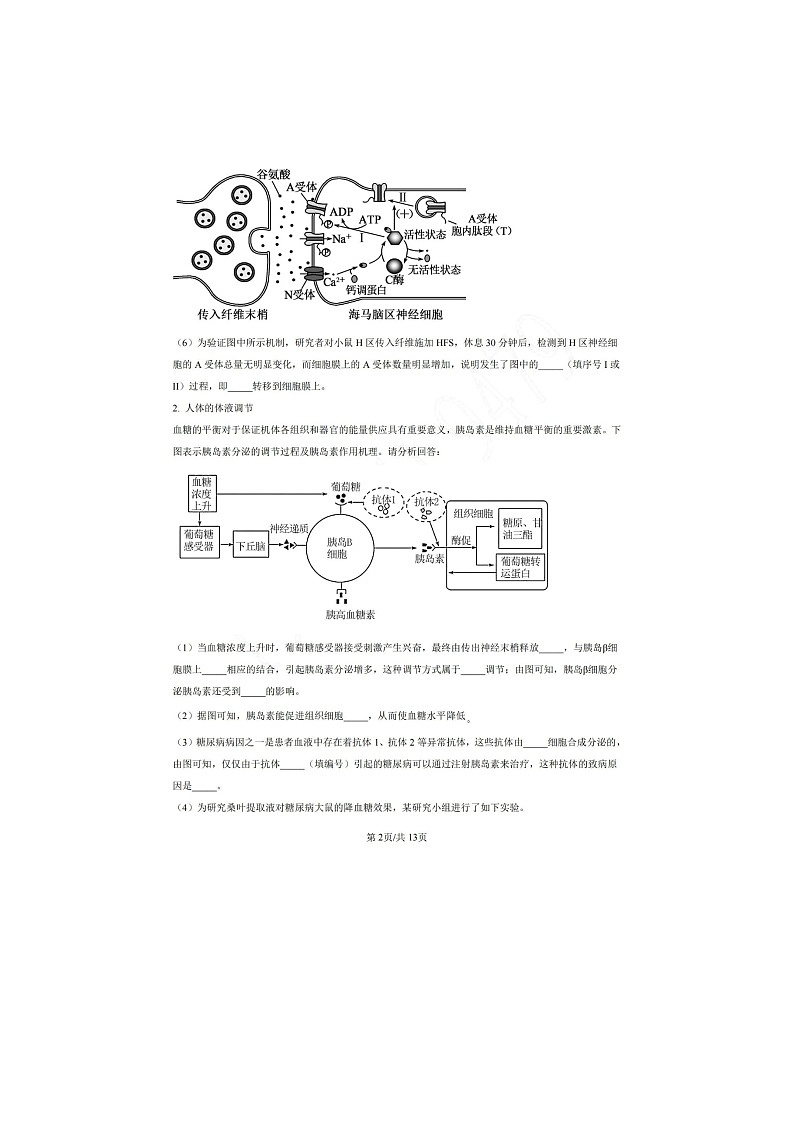 华东师范大学附属东昌中学2022-2023学年高二上期末生物等级试卷第2页
