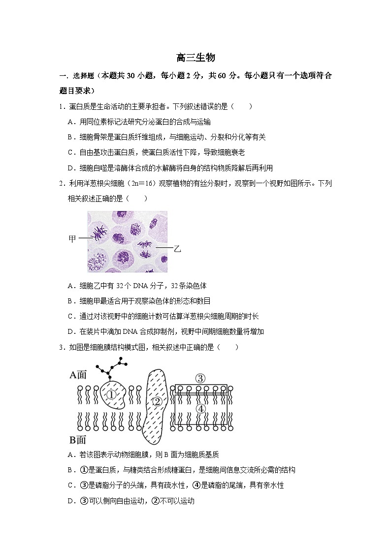2024南阳一中高三上学期12月月考试题生物含解析第1页