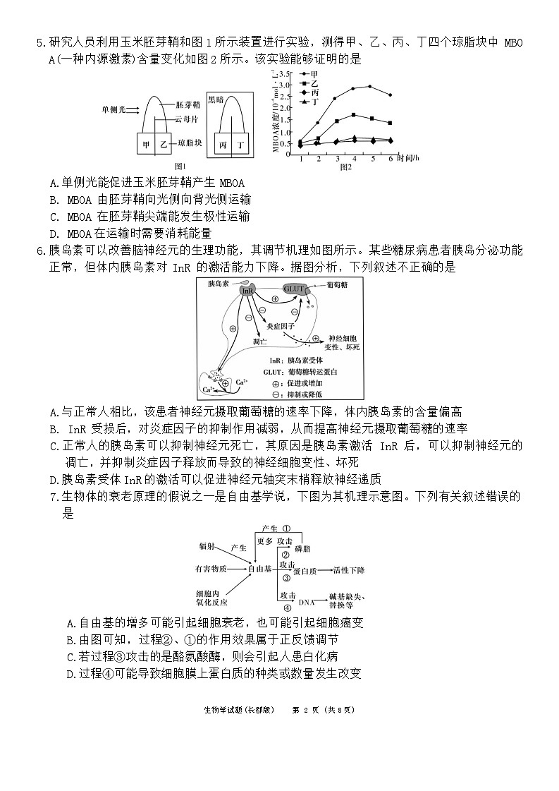 2024长沙长郡中学高三上学期月考试卷（五）生物含解析02