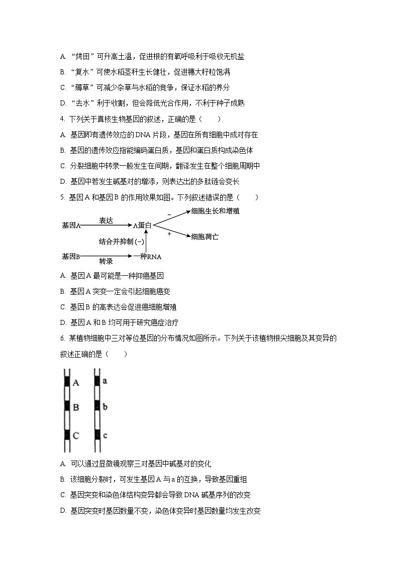 2024福建省百校联考高三上学期12月月考试题生物含解析02