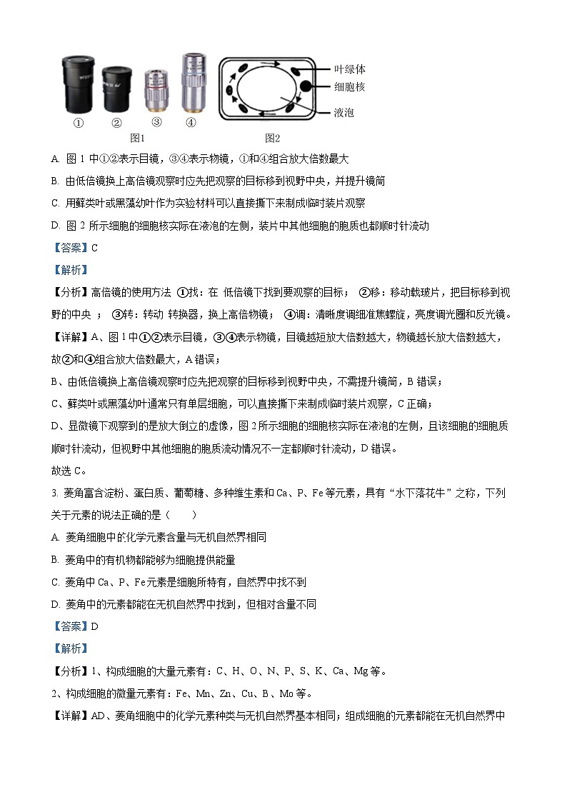 四川省成都外国语学校2023-2024学年高一上学期12月月考生物试题（Word版附解析）02