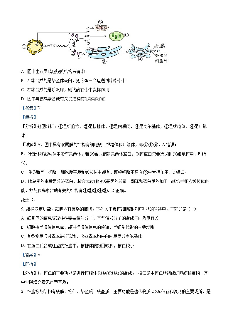 四川省绵阳中学2023-2024学年高三上学期入学考试理综生物试题（Word版附解析）03