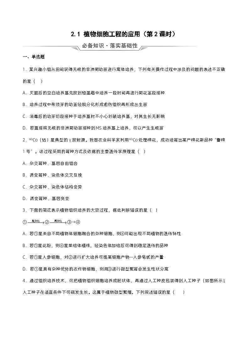 2.1 《植物细胞工程的应用（第2课时）》分层练习（原卷+解析卷）01