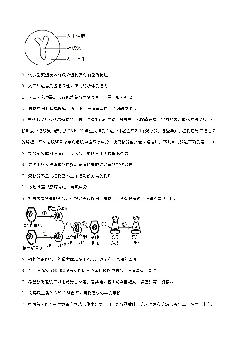 2.1 《植物细胞工程的应用（第2课时）》分层练习（原卷+解析卷）02