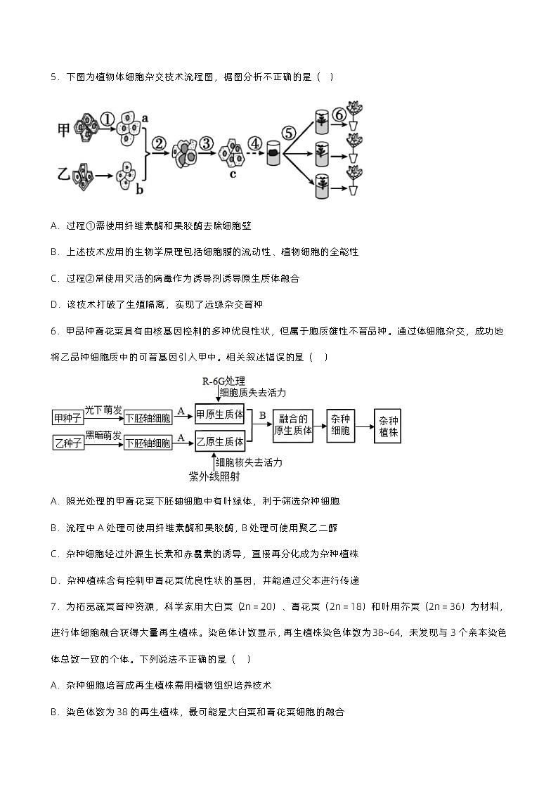 2.1 《植物细胞工程（第1课时）》分层练习（原卷+解析卷）02