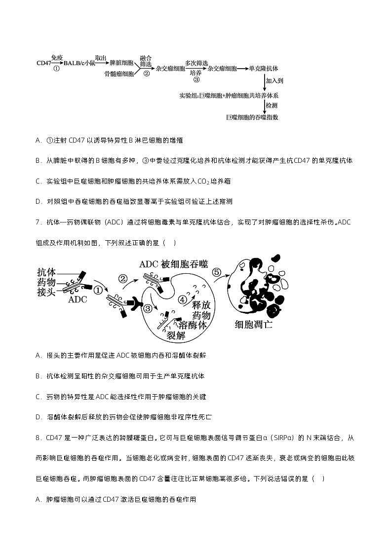 2.2.2 《动物细胞融合技术与单克隆抗体》分层练习（原卷+解析卷）03