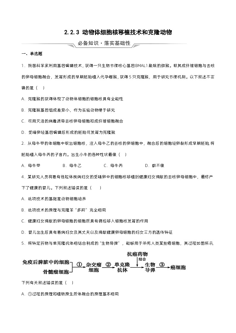 2.2.3《动物体细胞核移植技术和克隆动物》分层练习（原卷+解析卷）01