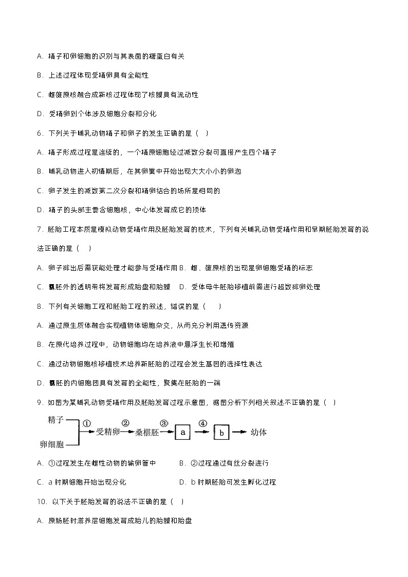 2.3.1《胚胎工程的理论基础》分层练习（原卷+解析卷）02