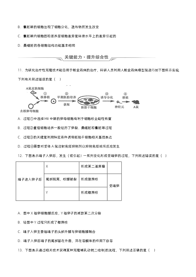 2.3.1《胚胎工程的理论基础》分层练习（原卷+解析卷）03