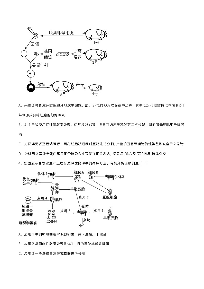 2.3.2 《胚胎工程技术及其应用》（原卷版）分层练习第2页