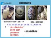 【名师特供】1.2.1《微生物的基本培养技术》 课件 人教版高中生物选修三