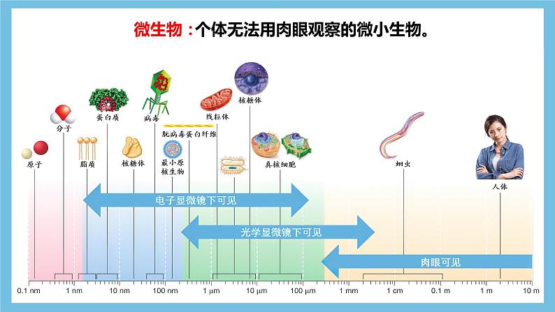 【名师特供】1.2.1《微生物的基本培养技术》 课件 人教版高中生物选修三04