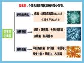 【名师特供】1.2.1《微生物的基本培养技术》 课件 人教版高中生物选修三