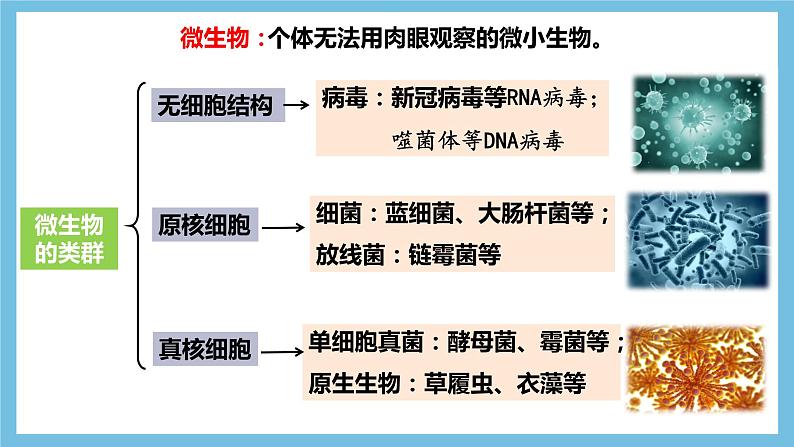 【名师特供】1.2.1《微生物的基本培养技术》 课件 人教版高中生物选修三05