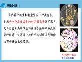 【名师特供】1.2.2《微生物的选择培养和计数》 课件 人教版高中生物选修三