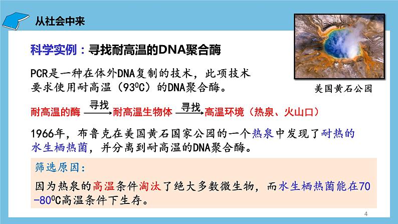 【名师特供】1.2.2《微生物的选择培养和计数》 课件 人教版高中生物选修三04