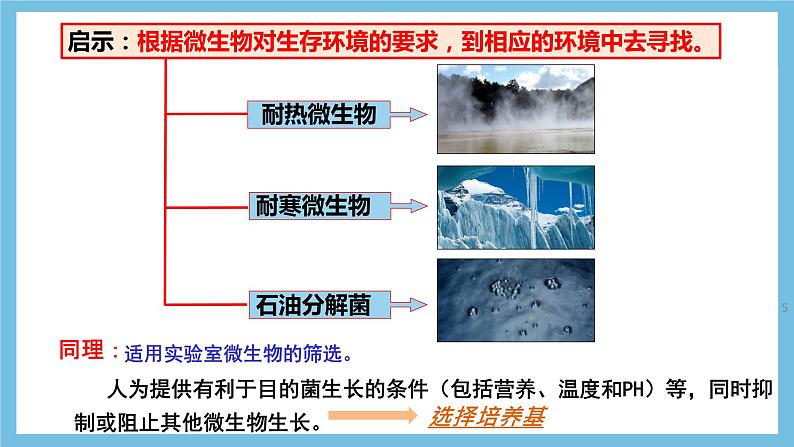 【名师特供】1.2.2《微生物的选择培养和计数》 课件 人教版高中生物选修三05