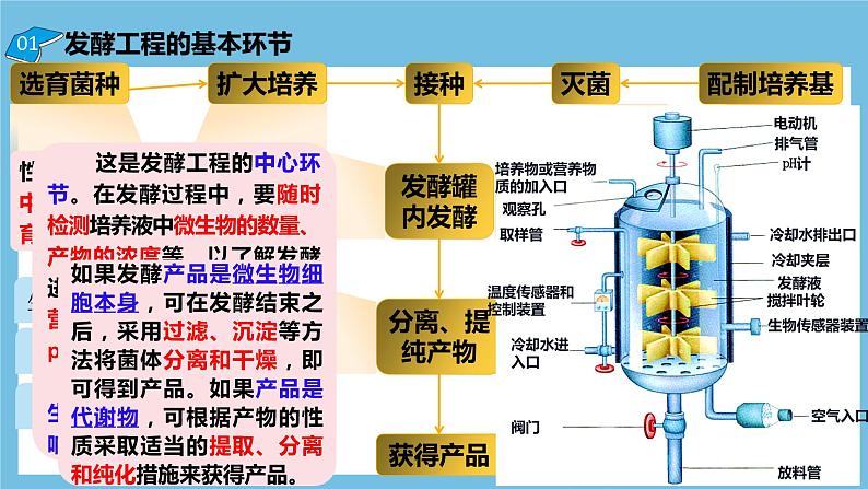 【名师特供】1.3《发酵工程及其应用》 课件 人教版高中生物选修三05